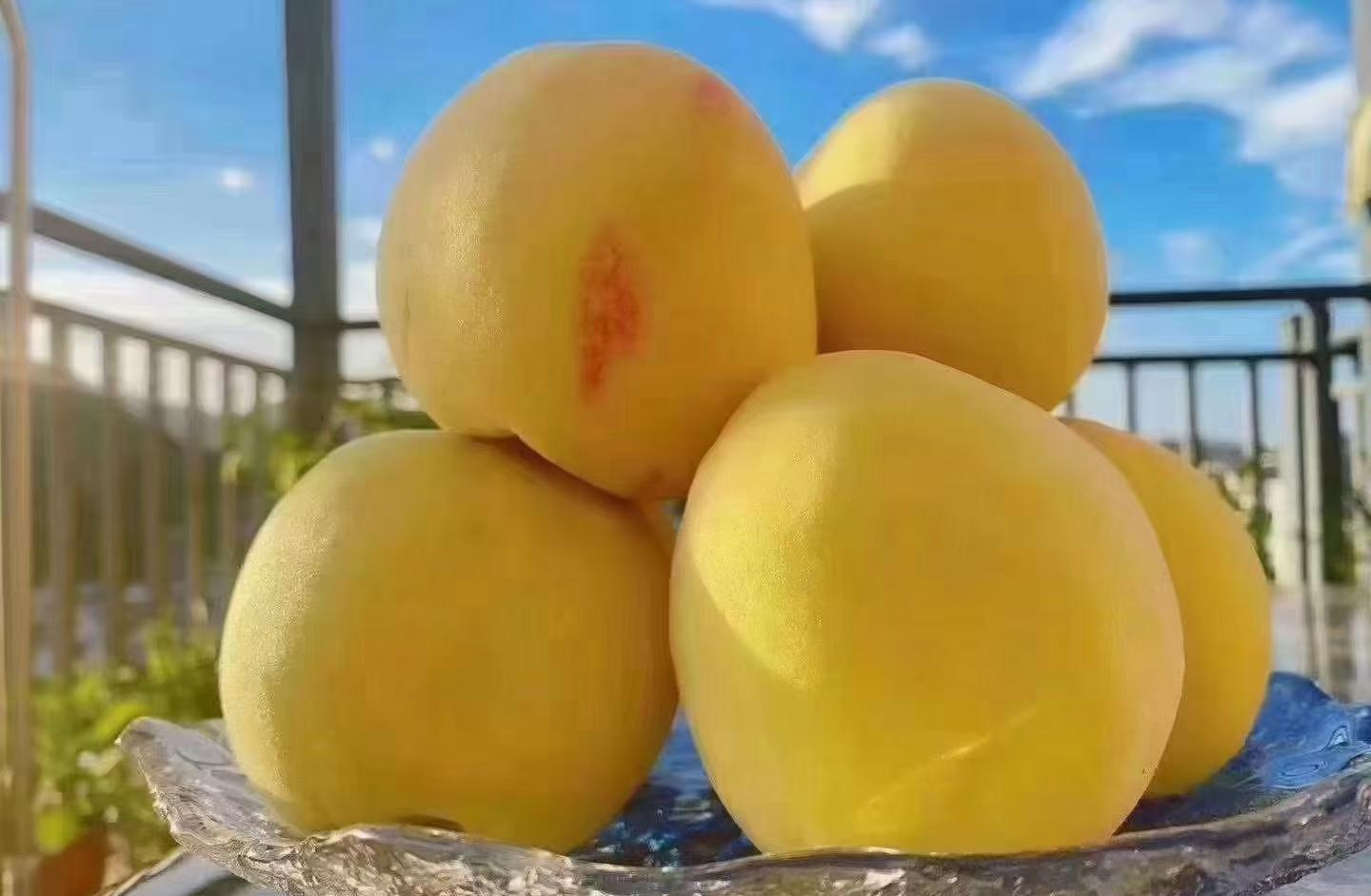 透明玻璃瓶中盛满金黄色的黄桃果酱,正在被木勺缓缓倒入,背景为木质餐桌,阳光洒落,旁边有柠檬片和新鲜黄桃作为点缀 黄桃果酱装瓶特写