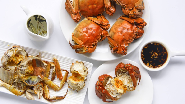 螃蟹与柿子分别盛放在两个盘子中,中间用隔板隔开,象征分开食用 螃蟹与柿子分开食用示意图