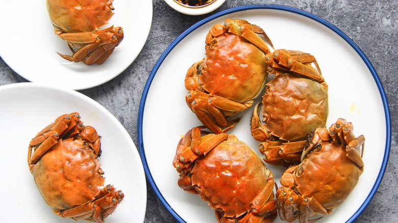 咖喱梭子蟹成品图