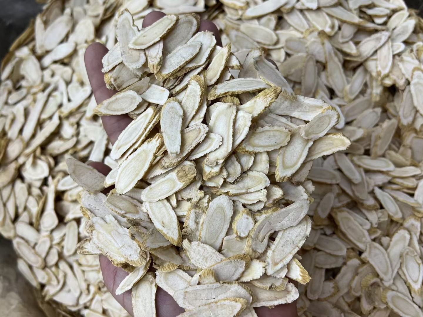 展示高品质西洋参切片,色泽均匀,质地干燥 西洋参切片展示