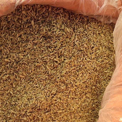 平乐县槐米价格行情走势 - 一亩田