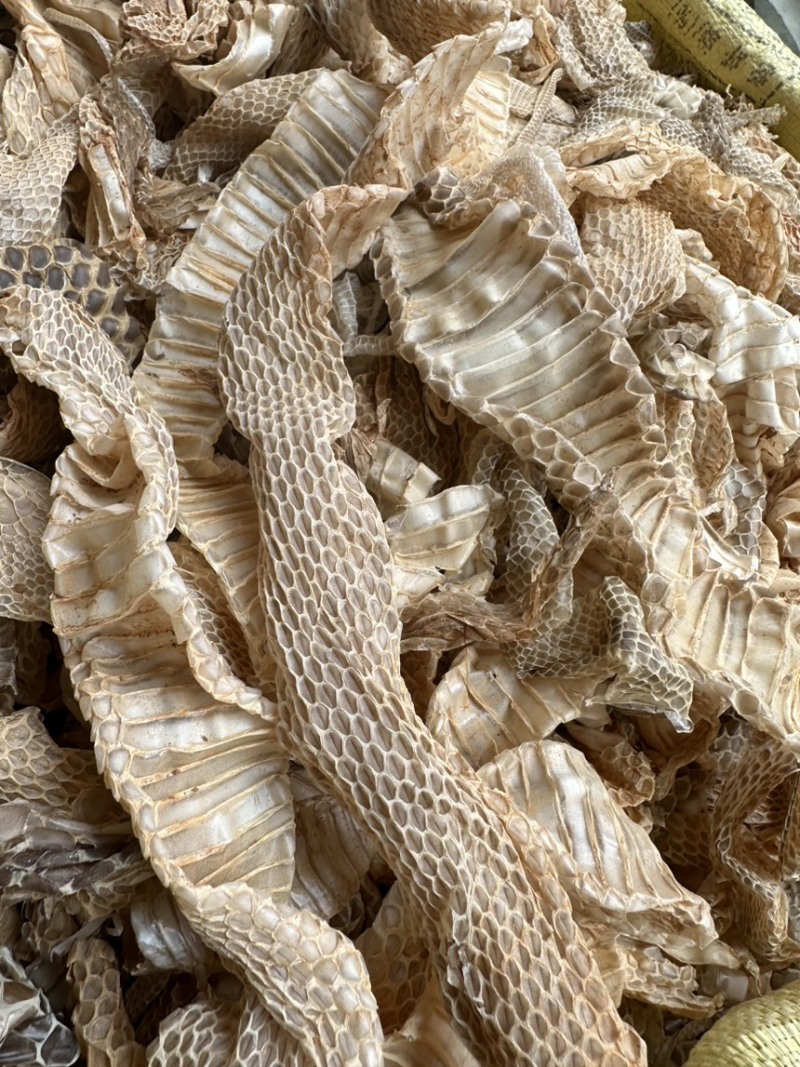 蛇蜕龙衣长虫皮批发零售各种中药材及冷背药材