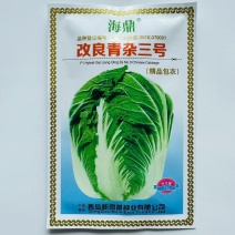 改良青杂三号白菜种子中晚熟叶球短圆筒形丰产抗病耐贮藏