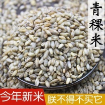 青稞米新货蓝青稞米麦仁青藏高原青稞仁煮粥五谷