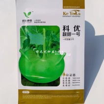 水果苤蓝种子早熟一代杂交青苤蓝种子靓甜一号二号水果苤兰