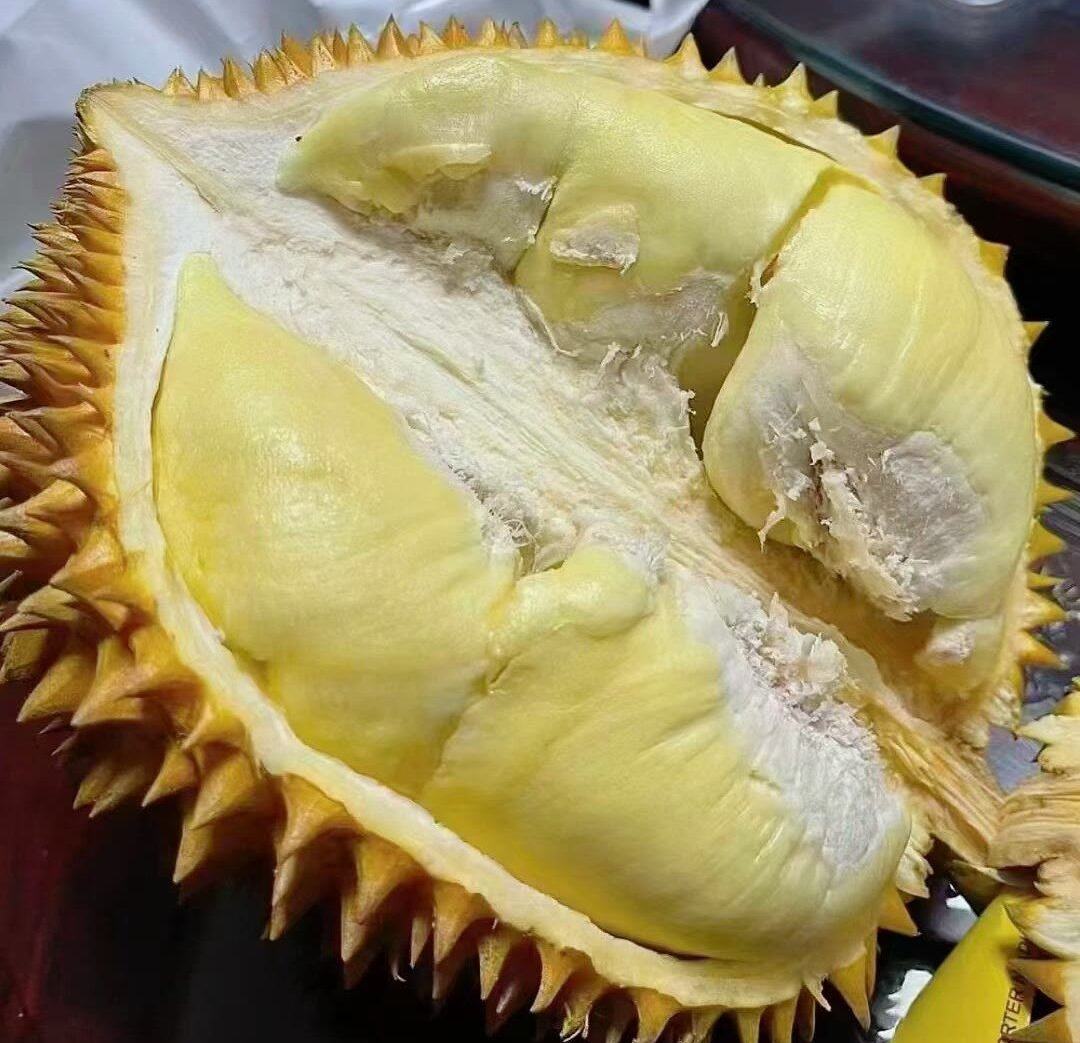 苏丹王榴莲切开内部结构特写