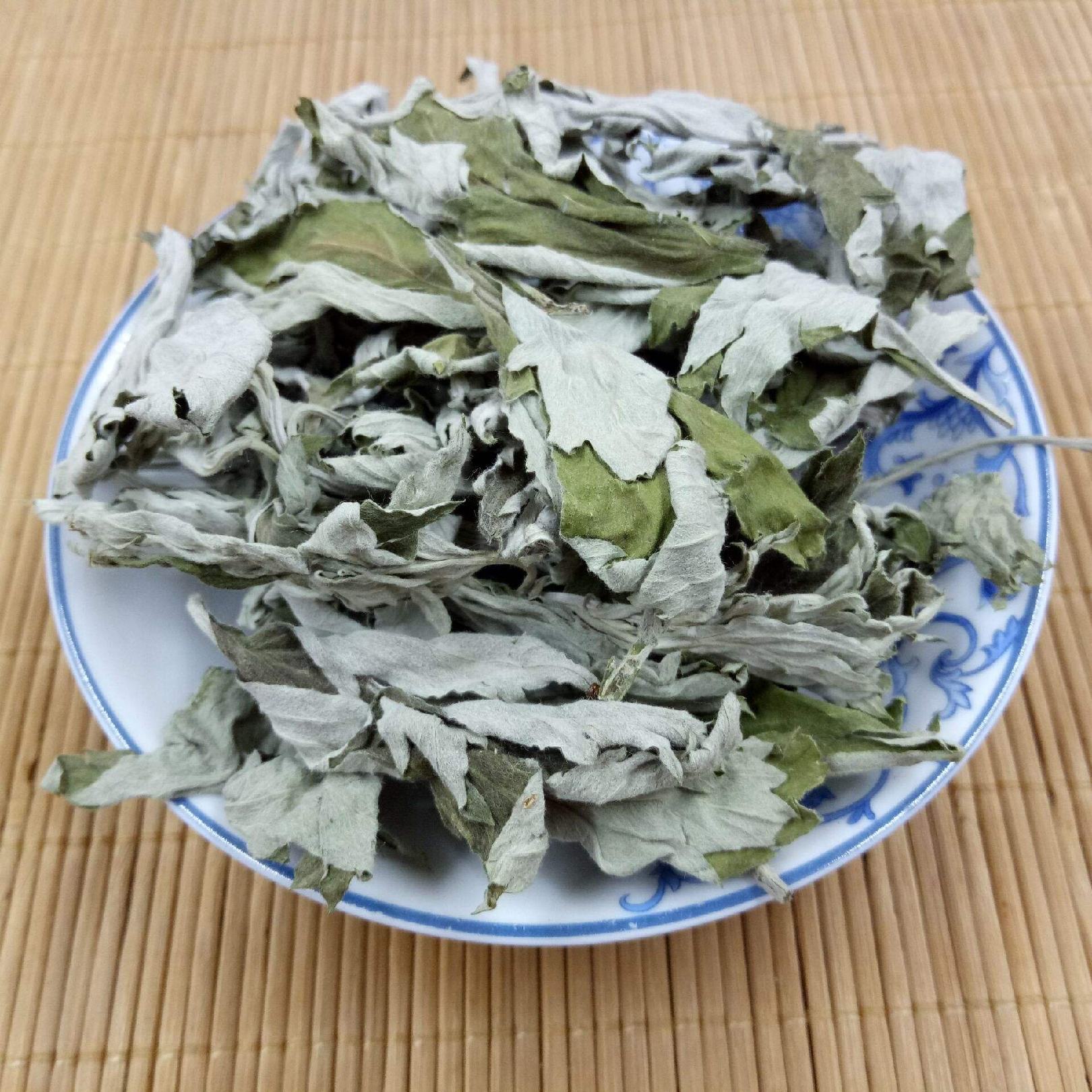 [艾叶批发]河南三门峡卢氏县艾叶 20.00元/公斤艾叶 大量长 _ 一亩田