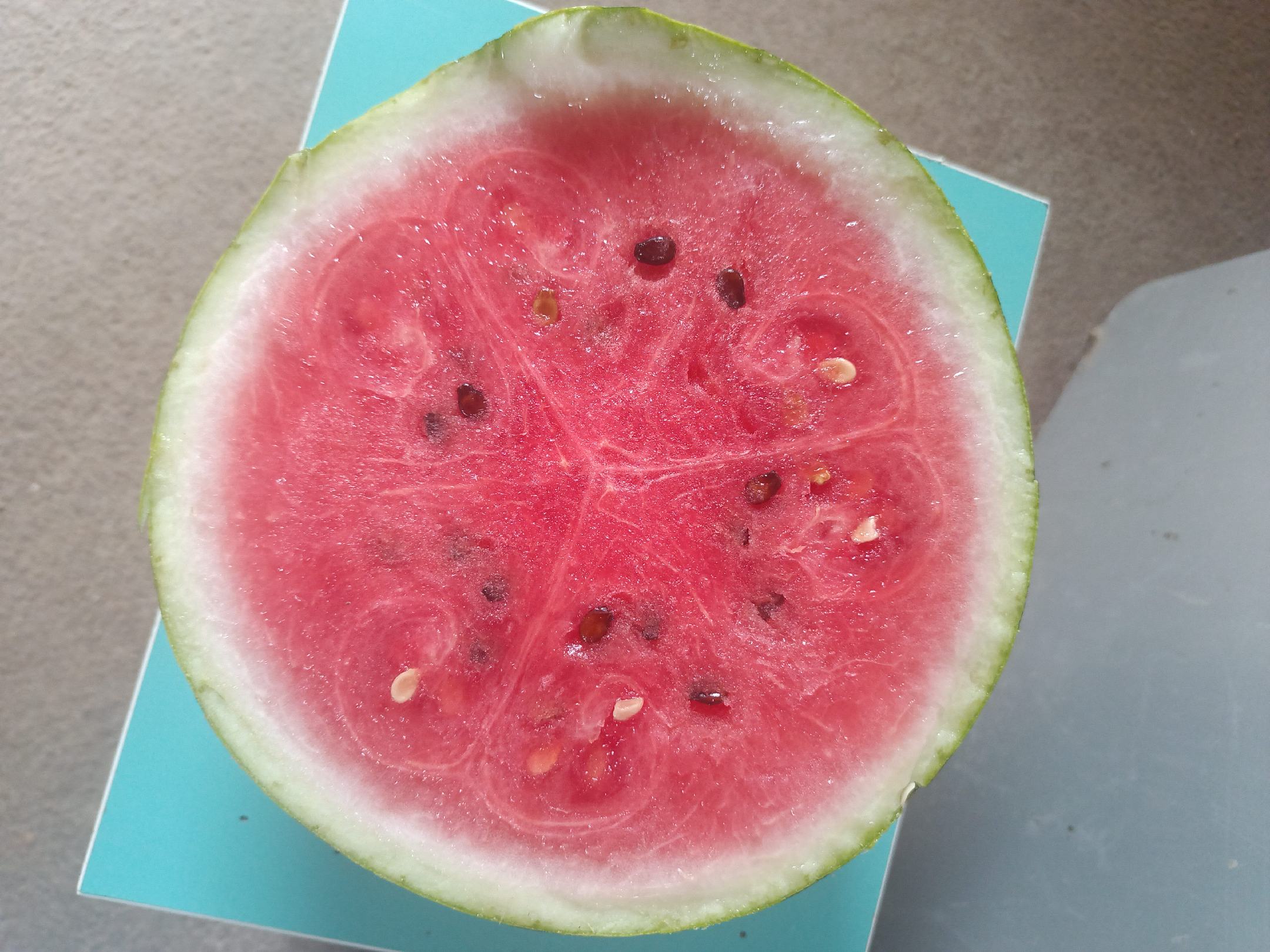 8424西瓜切面特写