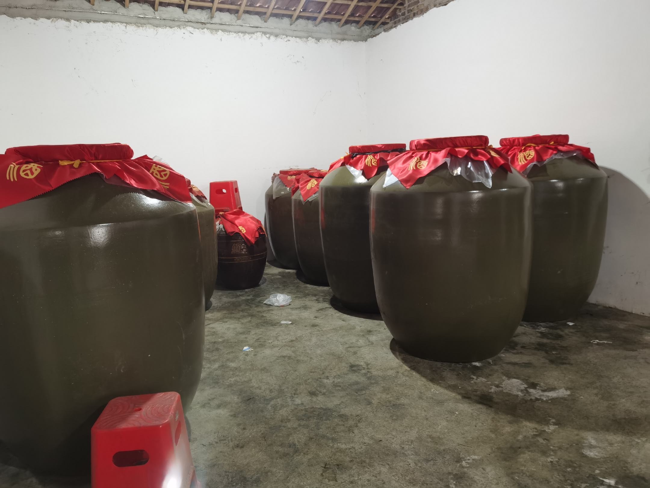 红蒜酒发酵过程展示图