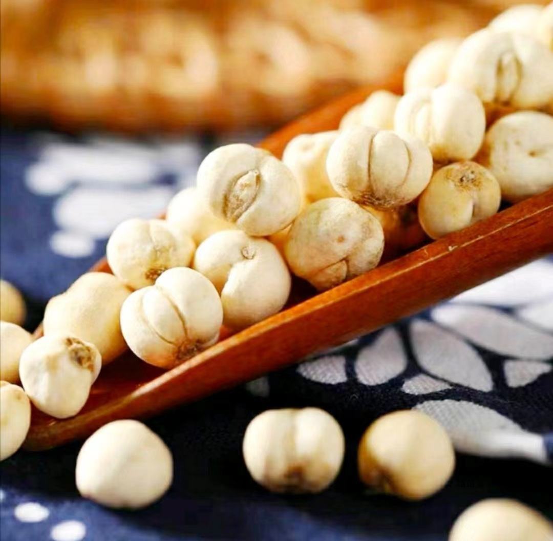 枇杷叶与川贝的搭配渊源:中药材展示,包括干燥的枇杷叶与川贝母,背景为中医典籍或传统药房场景 枇杷叶与川贝的搭配渊源