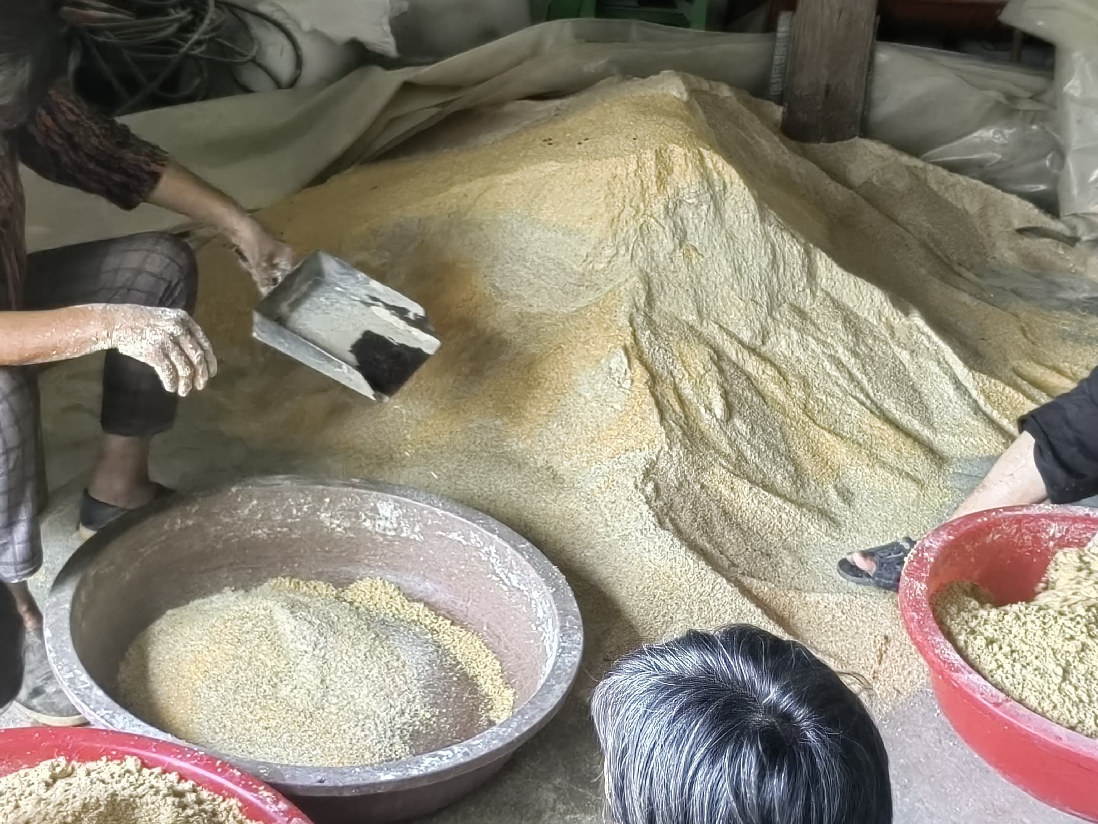 熟地黄炮制过程示意图