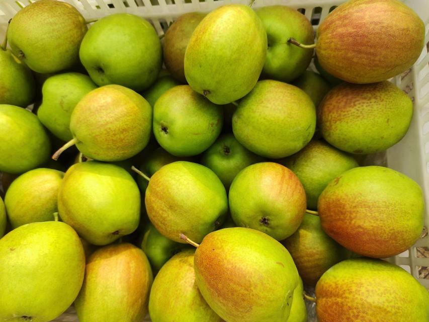 新鲜采摘的鸭梨展示,突出果实饱满、表皮光滑、带有自然光泽 新鲜采摘的鸭梨整齐摆放在竹筐中,背景为清晨果园,阳光透过树叶洒在果实上,部分鸭梨带有露珠,显得晶莹剔透