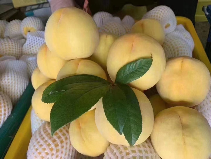 炎陵黄桃的营养成分分析图,展示其维生素C、膳食纤维、β-胡萝卜素、钾等含量 炎陵黄桃的营养成分表