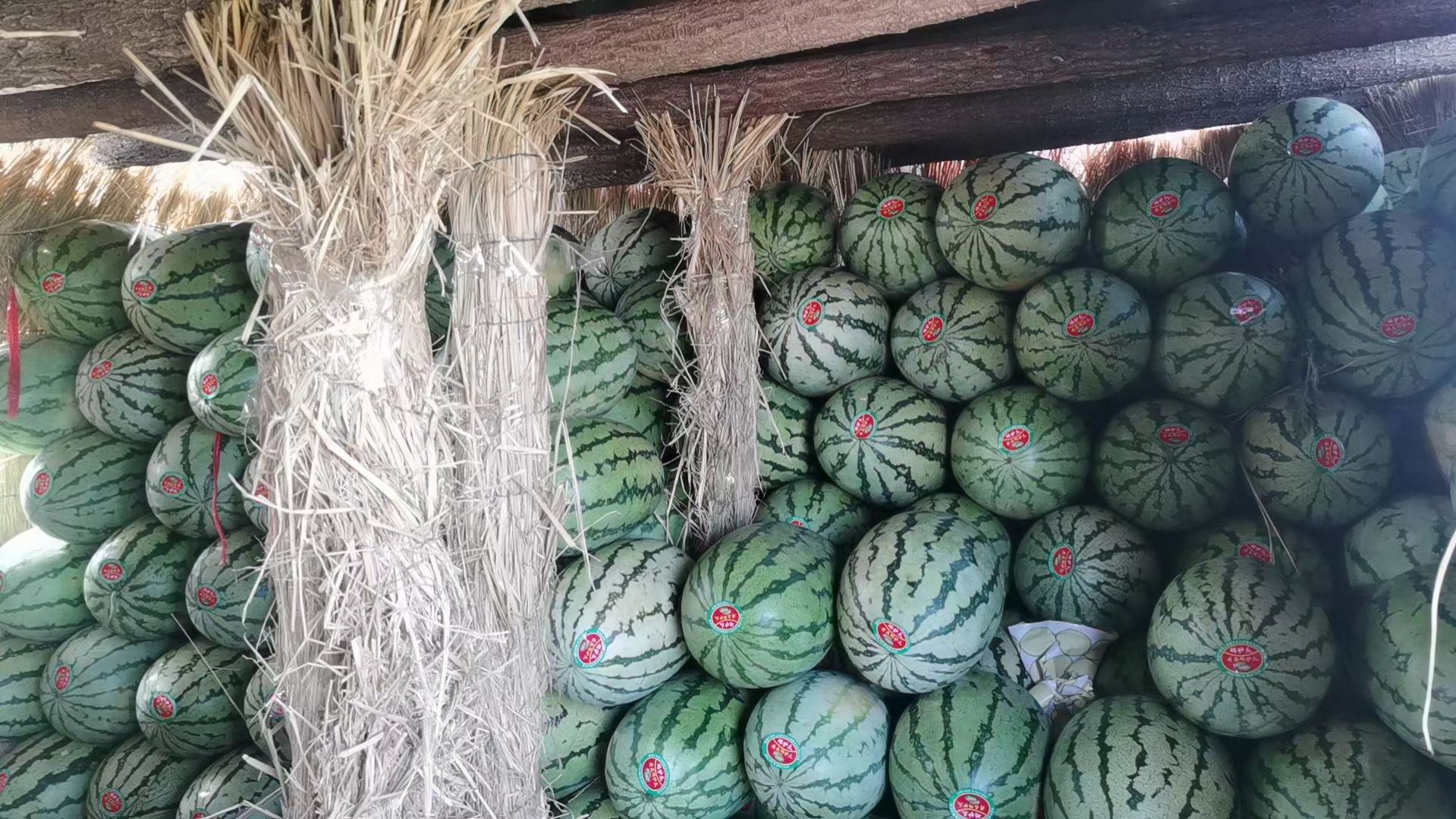 金花六号西瓜在超市销售场景