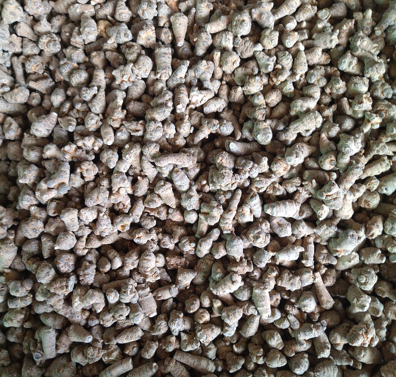 三七与丹参粉的对比展示图