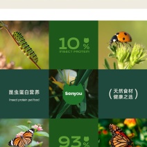 猫粮