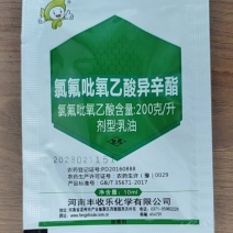 氯氟吡氧乙酸异辛酯水花生除草剂小麦田阔叶杂草农药