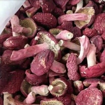 野生红菌菇