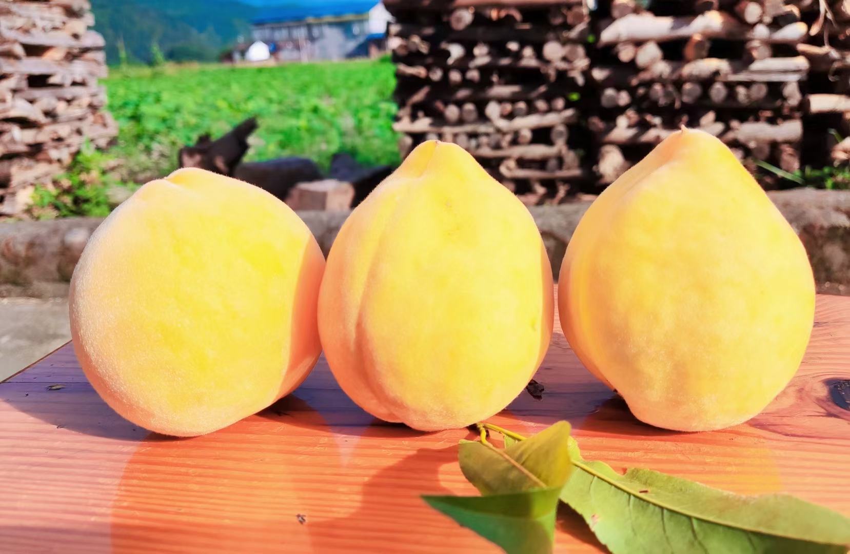 黄桃美食拼盘展示