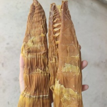 福建产区笋干