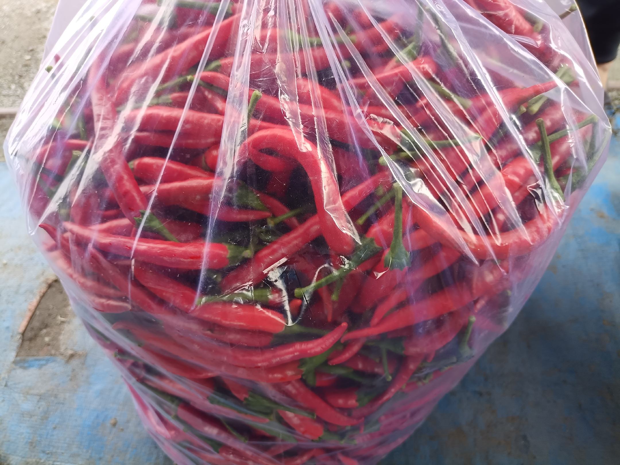 电商与商超热销的新鲜小米椒真空装实物图:高透包装凸显椒体鲜亮色泽与挺括形态,冷柜环境强化‘锁鲜’信任感,标签信息突出时效性与可追溯性 透明真空包装的小米椒产品陈列图,包装内小米椒红艳整齐,可见细微水汽凝结,外包装印有‘24小时鲜达’‘田间直送’字样及溯源二维码,置于现代生鲜超市冷柜中