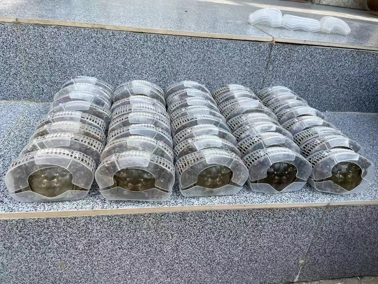 选购大闸蟹示意图