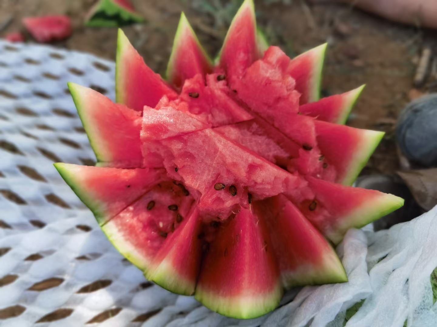 金花西瓜切片摆盘图