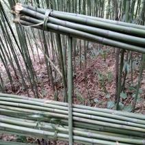 支撑架(欢迎来电）白夹竹，菜架竹，大棚竹竿，产地直销