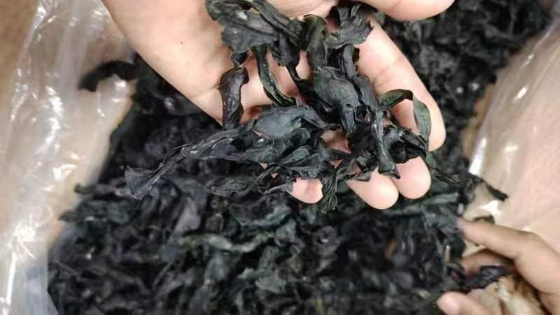 干海带储存方式示意图