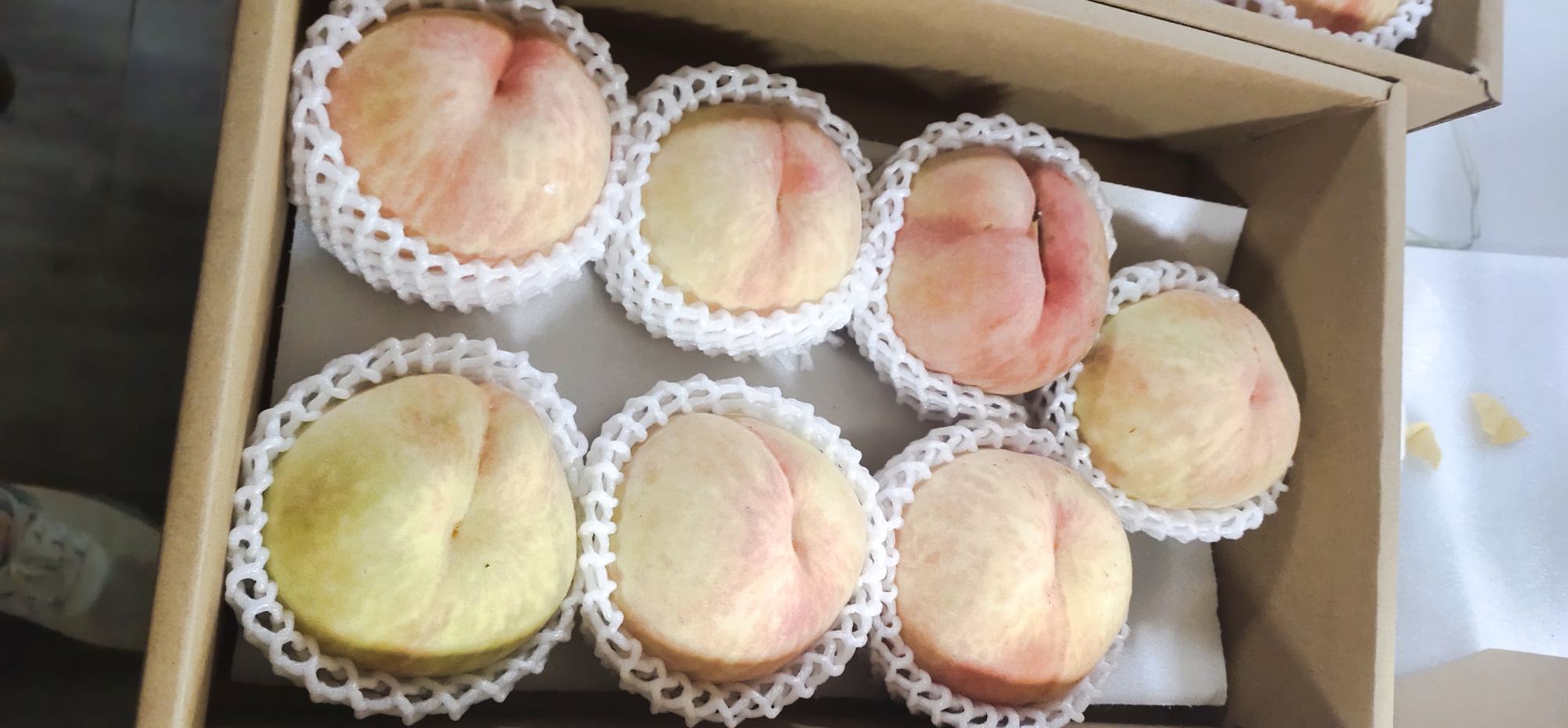 高清微距摄影:左侧为7.5成熟蜜桃切面,果肉呈半透明乳白色,汁囊饱满未破裂;右侧玻璃盆中糯米浆静置2小时后清晰分层,上层为清澈析出液,下层为乳白浓稠米膏,边缘无挂壁痕迹 蜜桃半熟期特写与糯米浆静置分层对比图