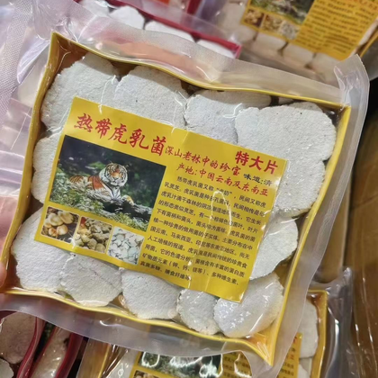 药蘑菇多少钱一斤图片