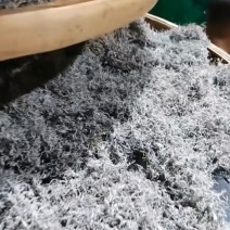 永顺干莓茶
