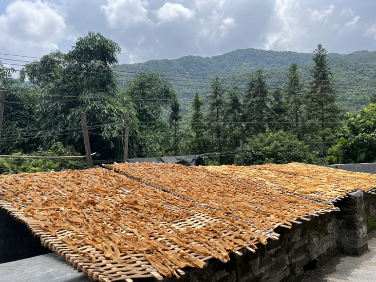 阳光下晾晒的山楂干片,整齐摆放在竹制晾晒架上 晒山楂干的晾晒过程