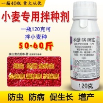 【小麦专用拌种剂】小麦包衣拌种剂苯醚咯噻虫防虫防病种衣剂