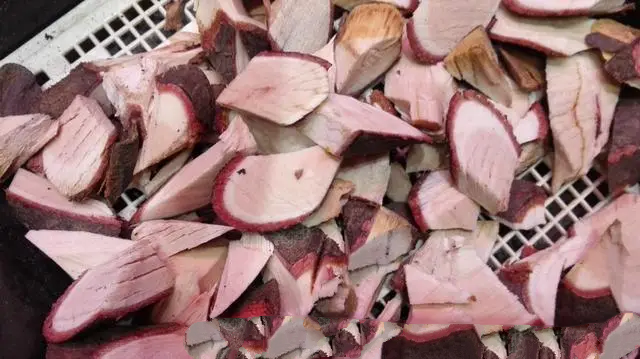 野山参切片特写