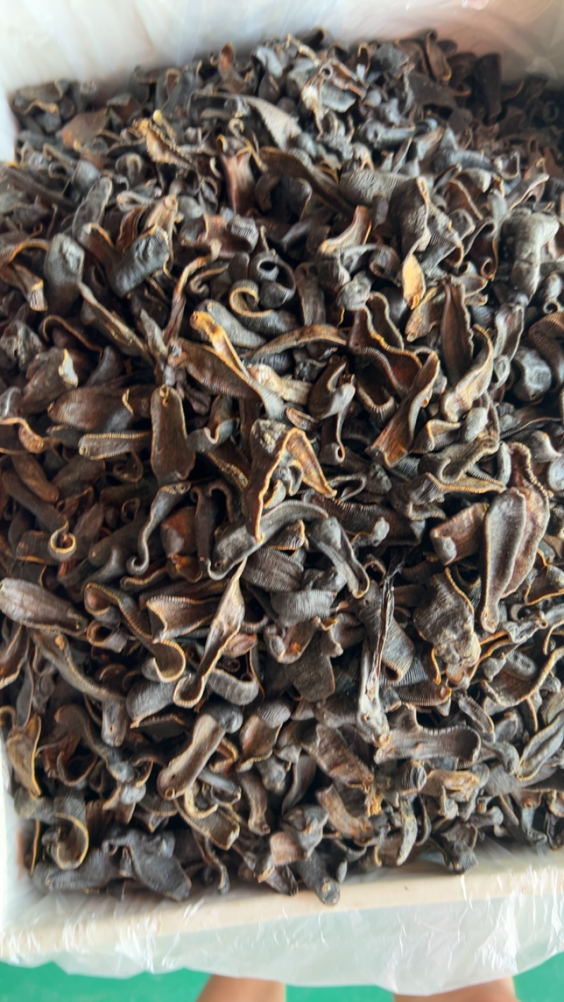 正品清水宽体金钱蛭吊干水蛭蚂蝗干货无盐无矾无硫