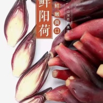 自家种植洋荷