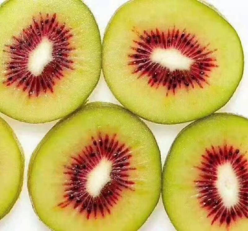 河南南阳徐香猕猴桃翠香猕猴桃金桃红心猕猴桃