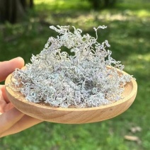 野生藤茶
