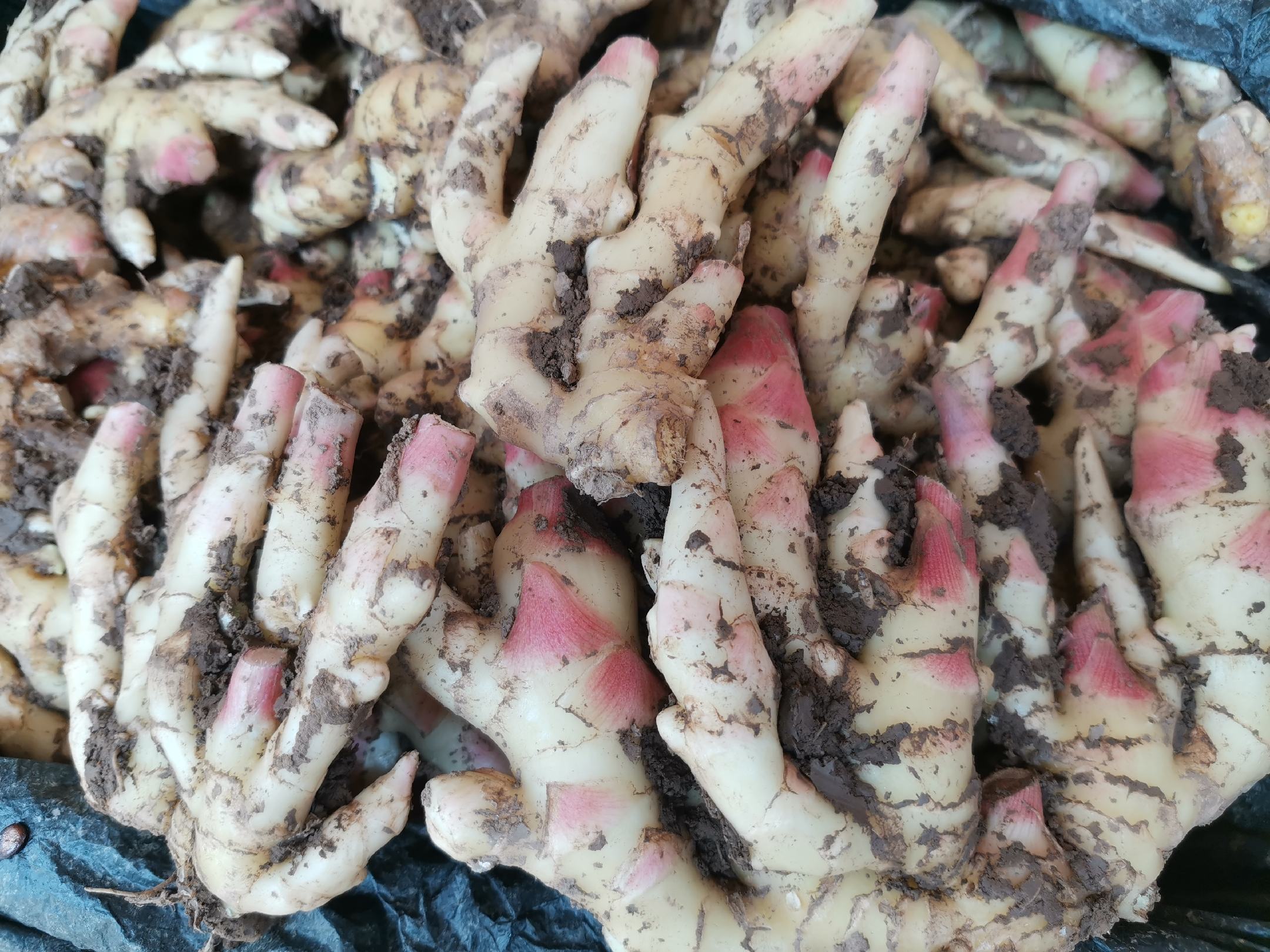 健康食材选购建议