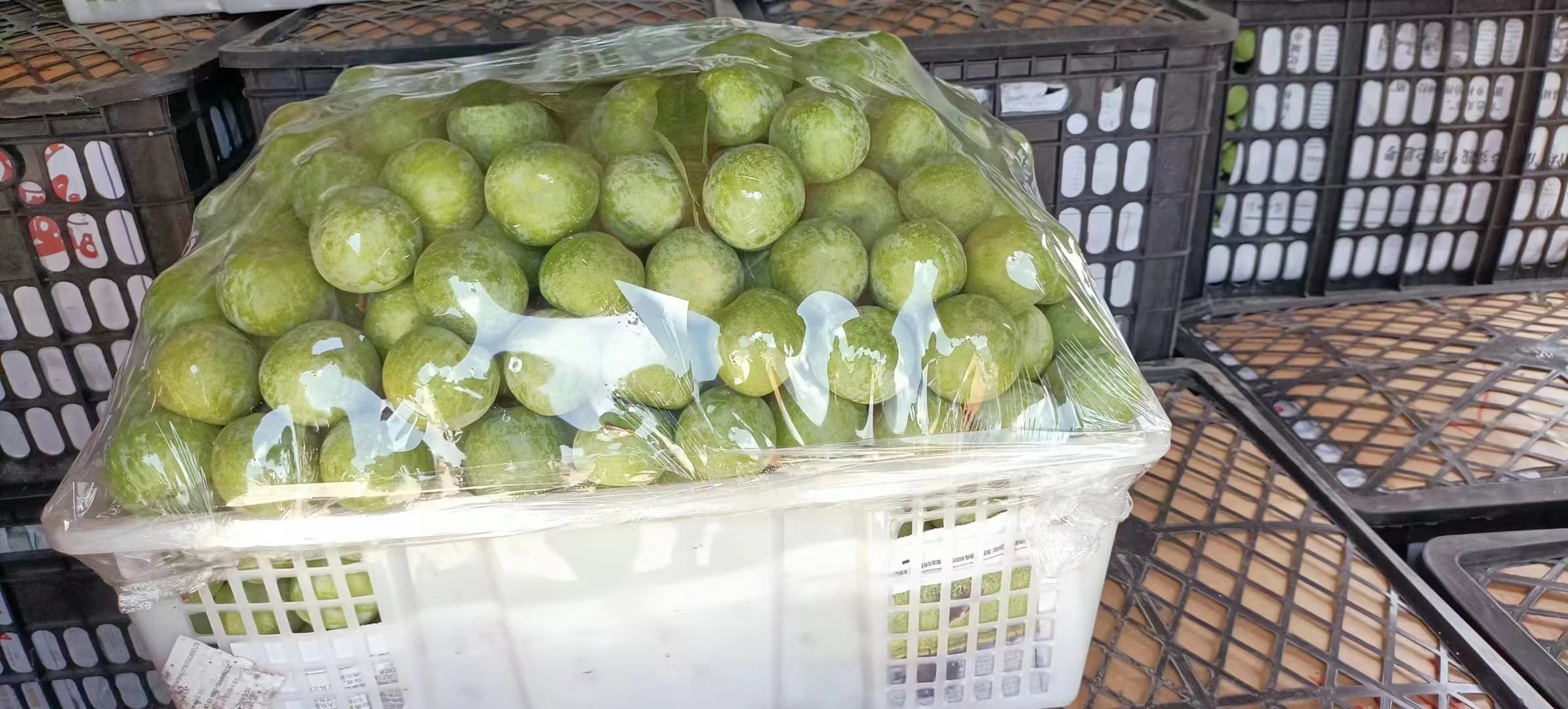 一张木质展台上陈列多种青冠李衍生产品:玻璃罐装绿色果酱、透明袋装冻干李子片、瓶装青李气泡水、以及搭配其他水果组成的礼品果盒,背景为简约现代厨房风格,突出产品的商品化与时尚感 青冠李深加工产品展示台