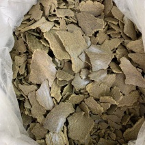 孜然饼