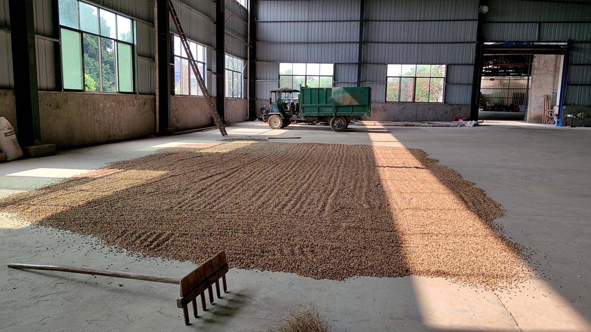 大型循环式谷物干燥机工作场景