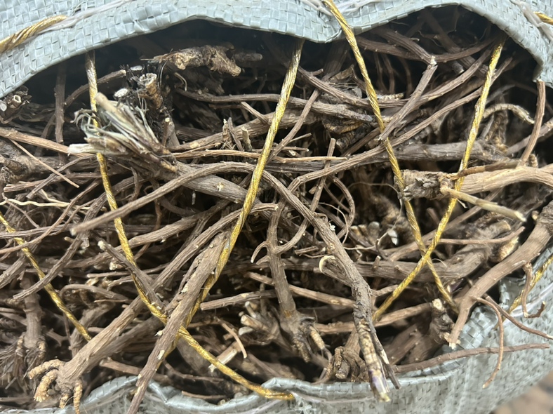 北柴胡与其他中药材搭配使用