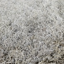 永顺莓茶
