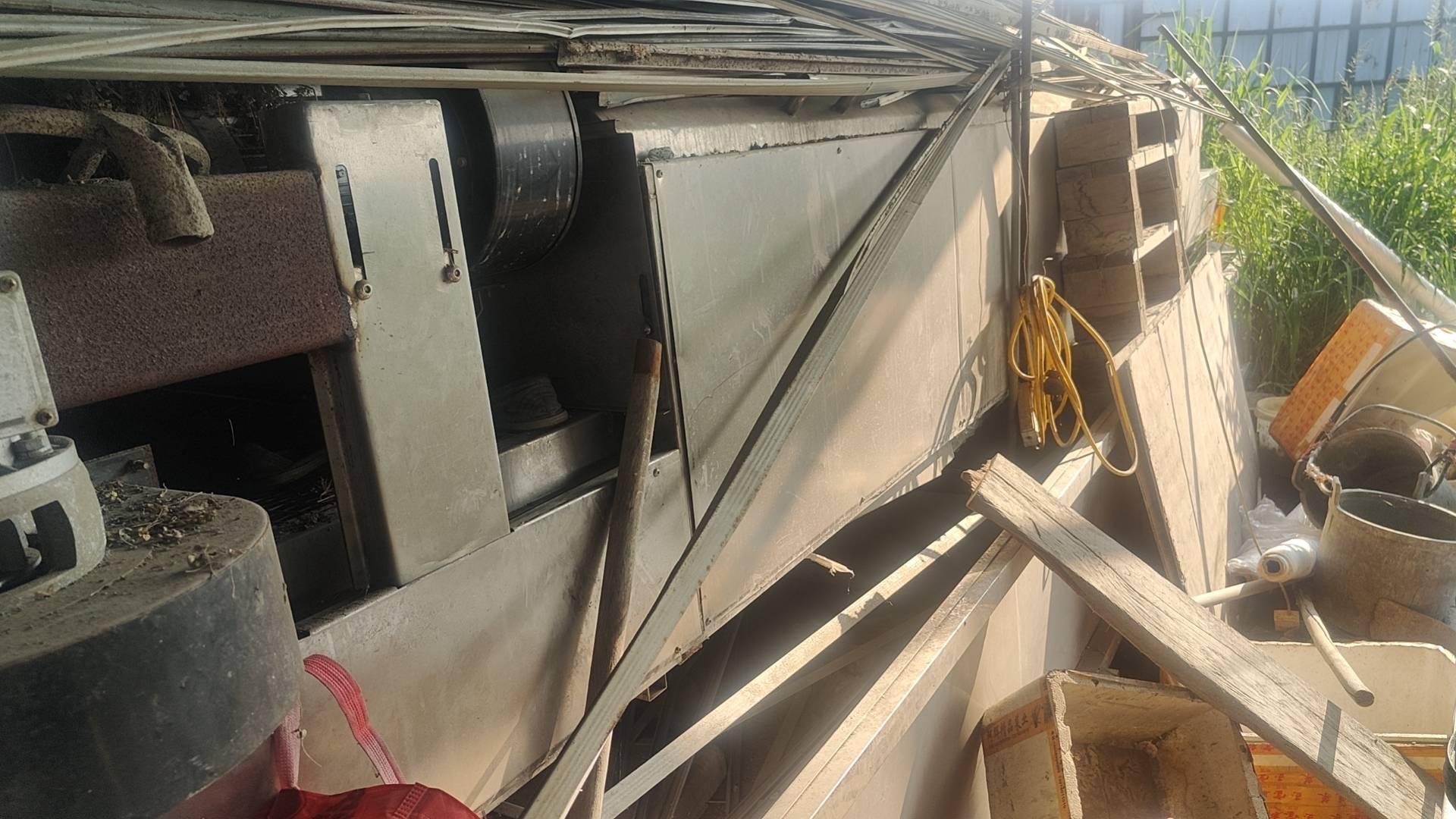 科学种植韭菜的步骤