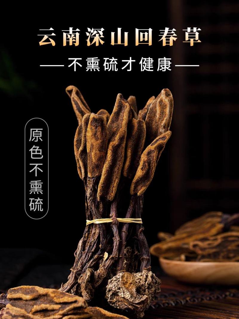 大量大深山纯野生新鲜回春草无杂质20元每斤,干160每斤