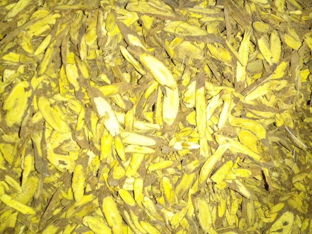 黄芩药材显微鉴定图