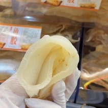 鱼胶花胶北海母胶干货赤嘴鱼胶传统滋补海味干货孕妇花胶