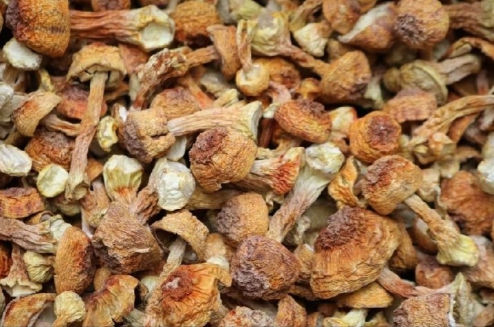 优质干香菇与劣质品对比图